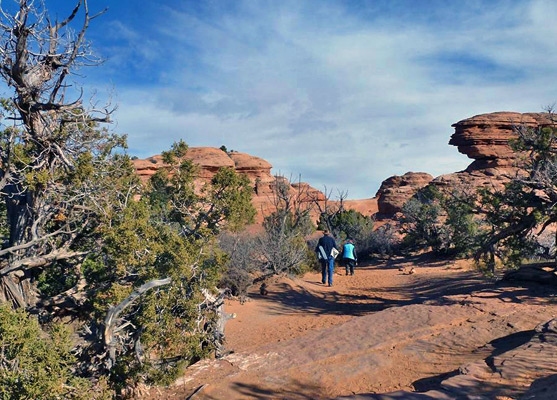 Trail to the arch