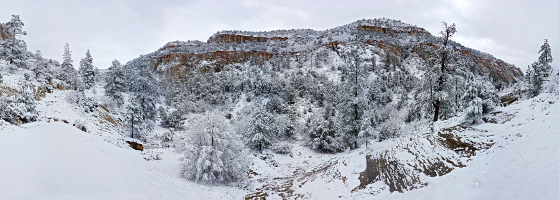 East Rim Trail