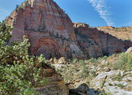 Cliffs above the slot canyon of Pine Creek