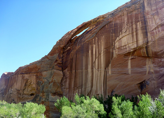 Skyline arch, south side of the Escalante River