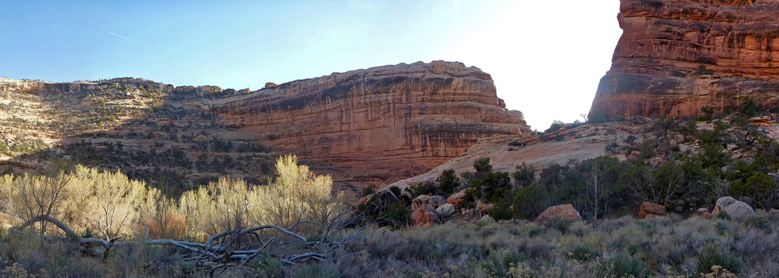 Confluence of Grand Gulch and Todie Canyon