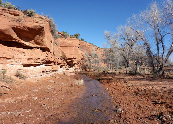 Shallow stream flowing past red rocks