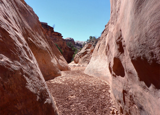 Tributary narrows