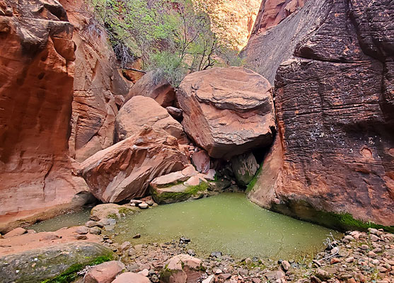 Pool below boulders, Hellhole Canyon