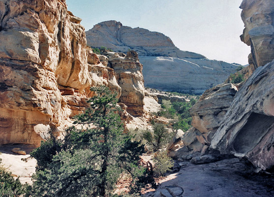 Canyon along the Hickman Bridge Trail