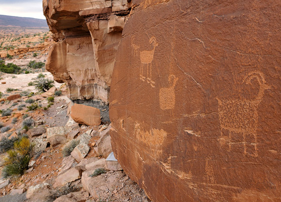 Bighorn sheep petroglyphs