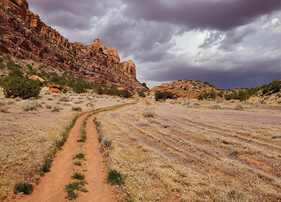 Grassy path along the valley floor