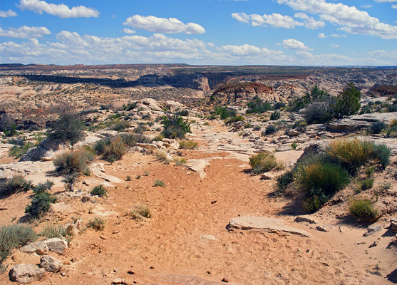 Start of the path into Horseshoe Canyon