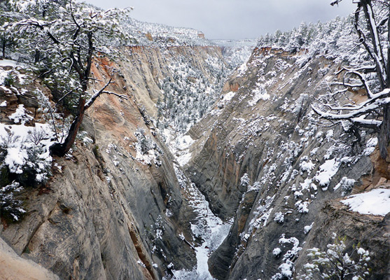 Snow in Jolley Gulch