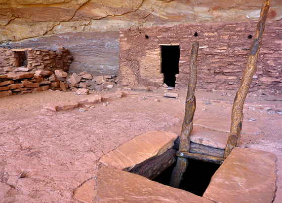 Ladder used to enter Perfect Kiva
