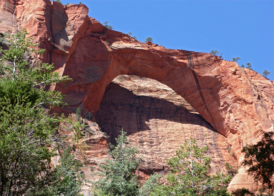 Kolob Arch, high above a narrow canyon