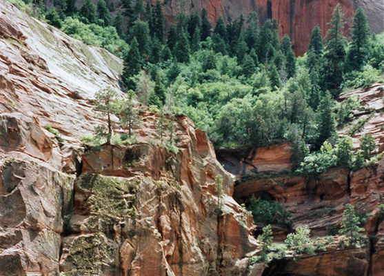 Cliffs above Taylor Creek