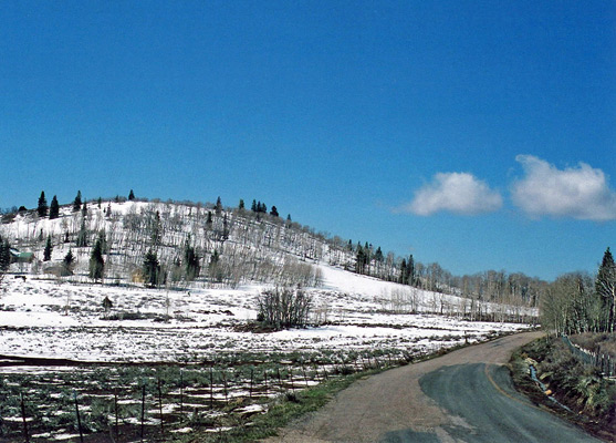 Road to Kolob Reservoir, in late April