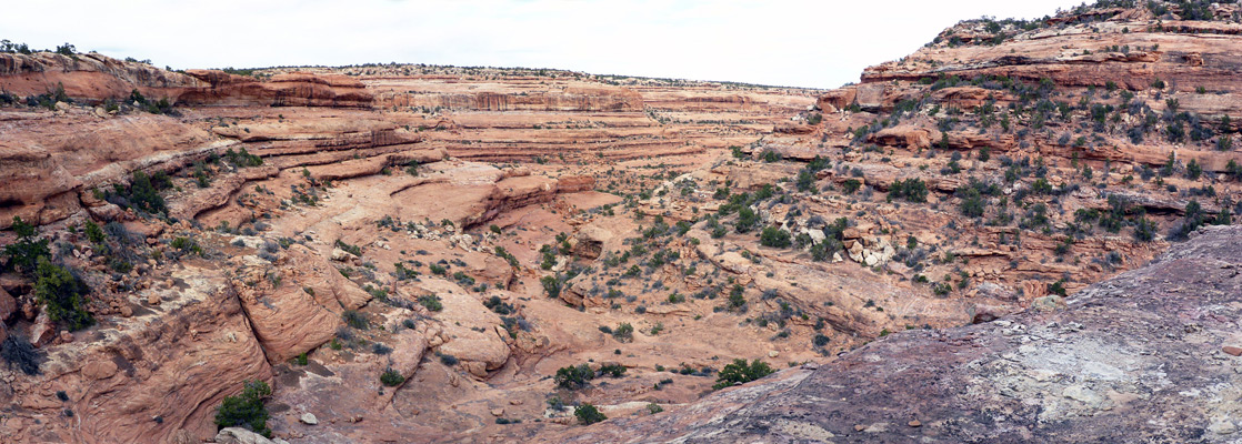 South-side tributary ravine