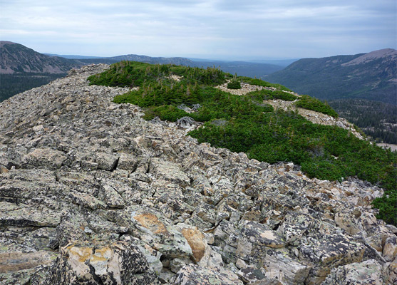 Boulders and stunted pine trees