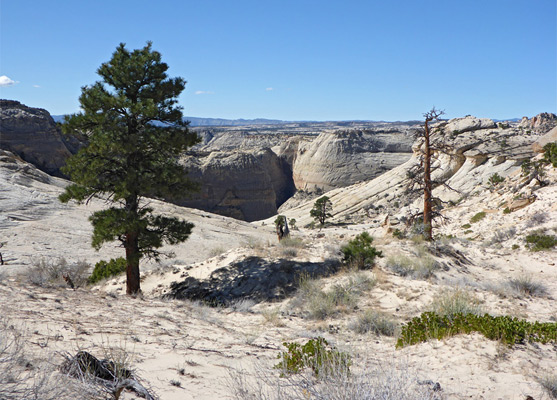 Approaching Death Hollow from the east