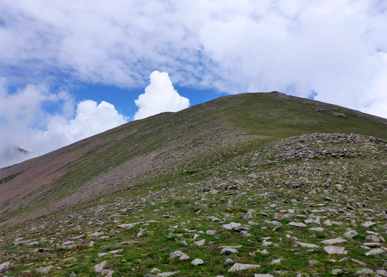 Tundra on Manns Peak