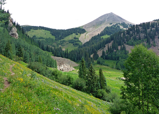 The path to Manns Peak, crossing a floral hillside