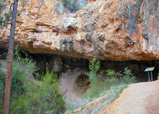 Mossy Cave