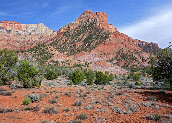 Chinle slopes below Mount Kinesava