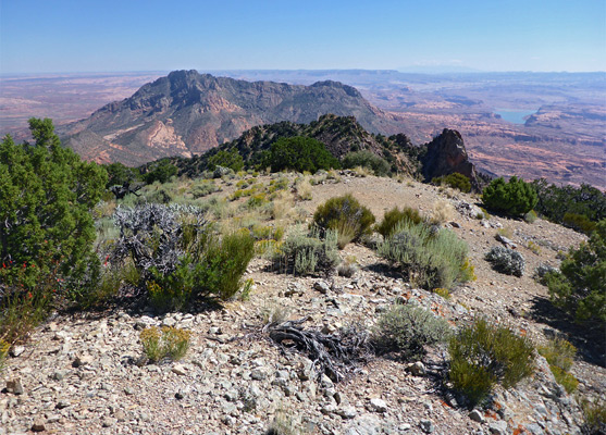 Stony ground on the summit of Mt Ellsworth