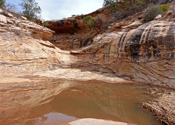 Chute and pool