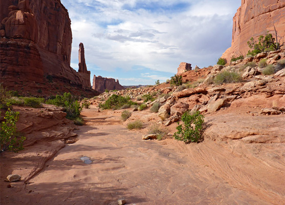 The flat floor of the streambed in Park Avenue