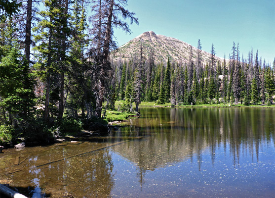 Shallow water of Petit Lake