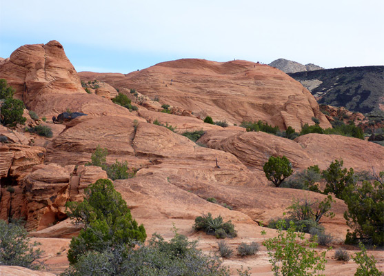 Petrified dunes