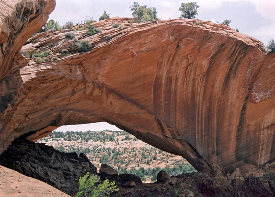 Phipps Arch