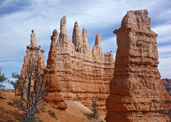 Narrow sandstone formations in Queens Garden