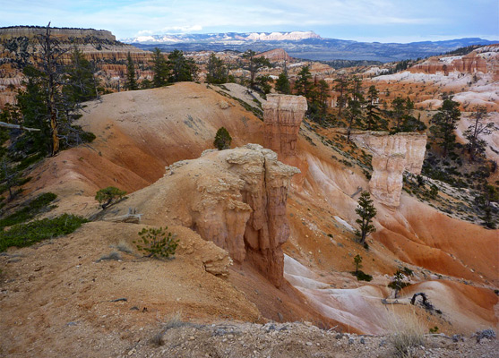 Multicolored earth, near the top of the Queens Garden Trail