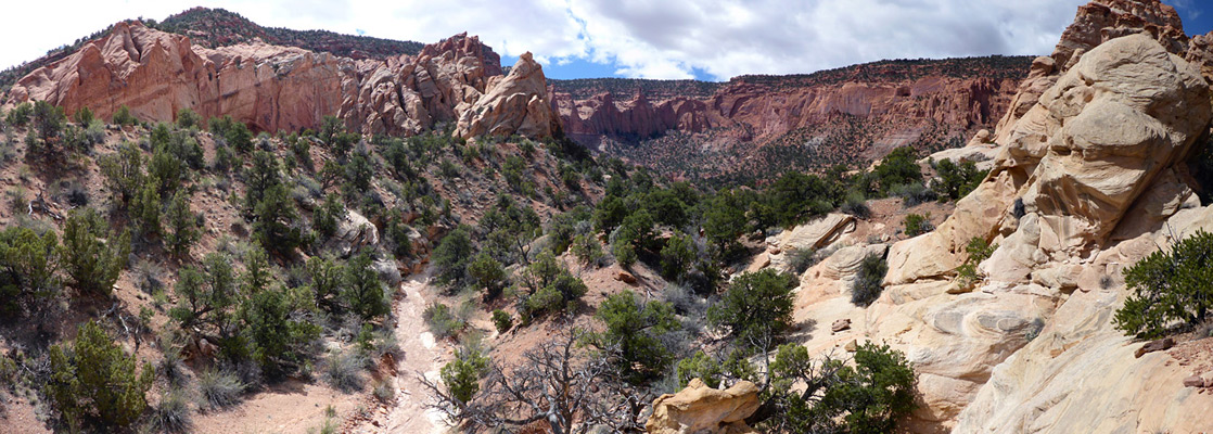 Above the streambed in the enclosed part of Red Canyon