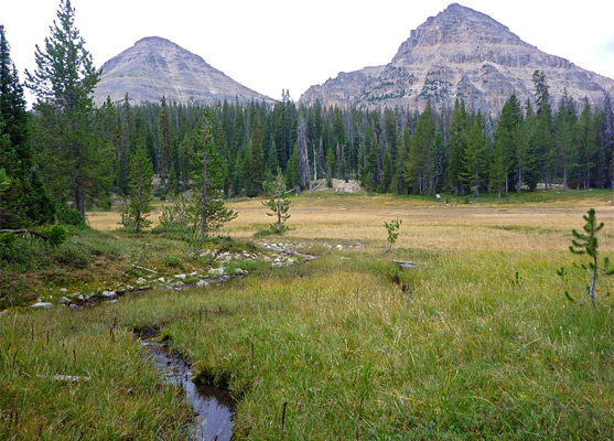 Reids Meadow, Bald Mountain and Reids Peak