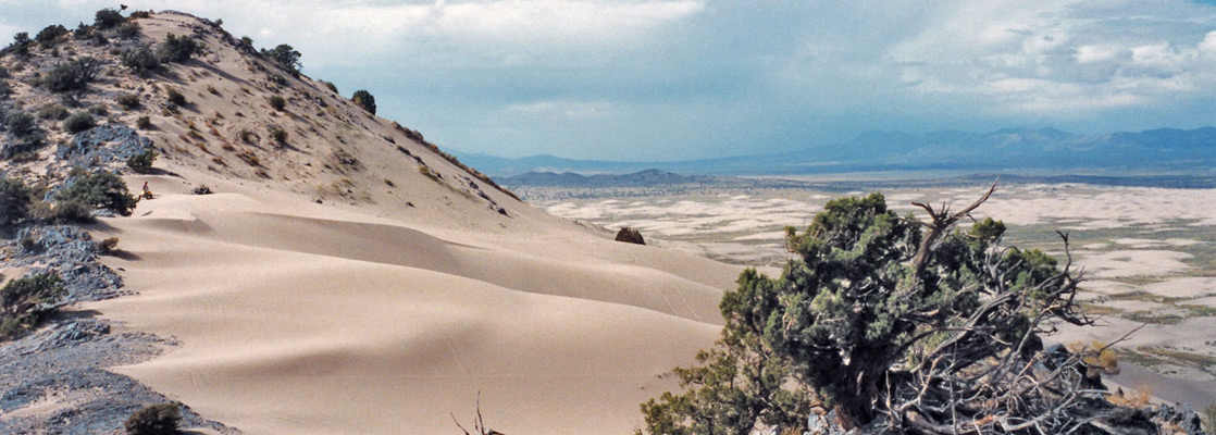 Ridge on Sand Mountain