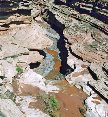 Narrows of Salt Creek