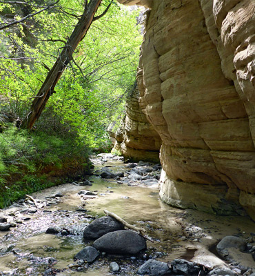 Layered cliff, Sand Creek