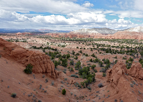 Partly wooded land to the west