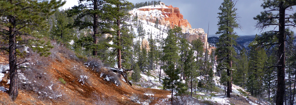 Light snow along the Sheep Creek Trail