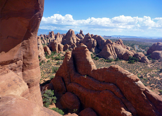 Fins below Skyline Arch