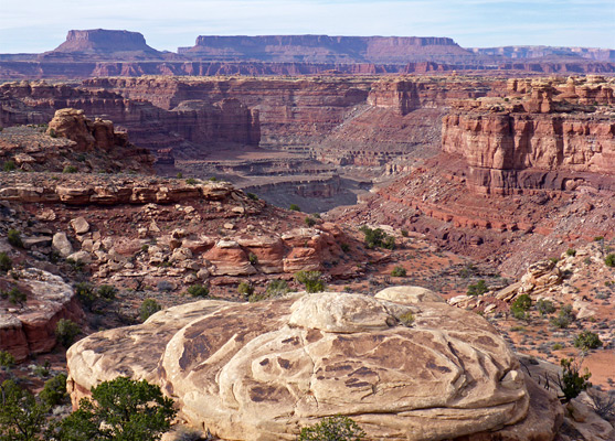 Confluence of Big and Little Spring Canyons