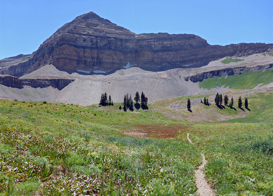 Timpooneke Trail across Timpanogos Basin