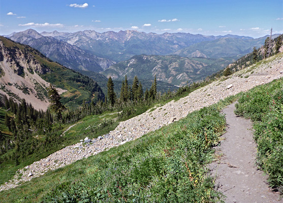 Scree and vegetation