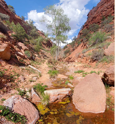 Tom's Canyon; pool and boulders