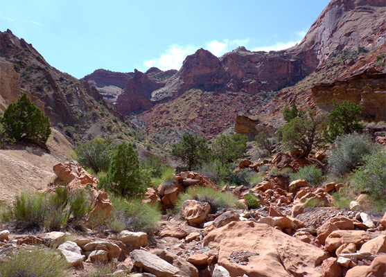 Boulders and bushes along a wash through Upheaval Dome