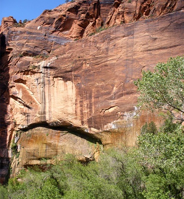 Cliffs above Weeping Rock