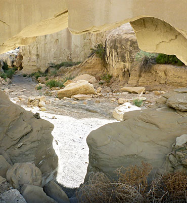 Wiregrass Natural Bridge