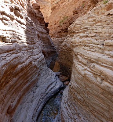 Narrows of Wittwer Canyon