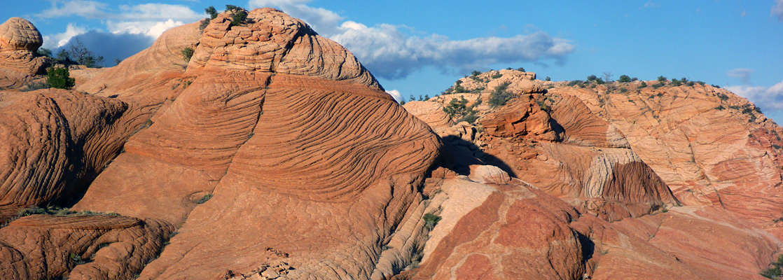 Undulating sandstone at Yant Flat, crossed by bands of different colors