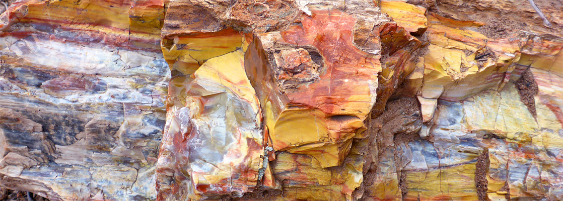 Large petrified log, along the Petrified Forest Trail